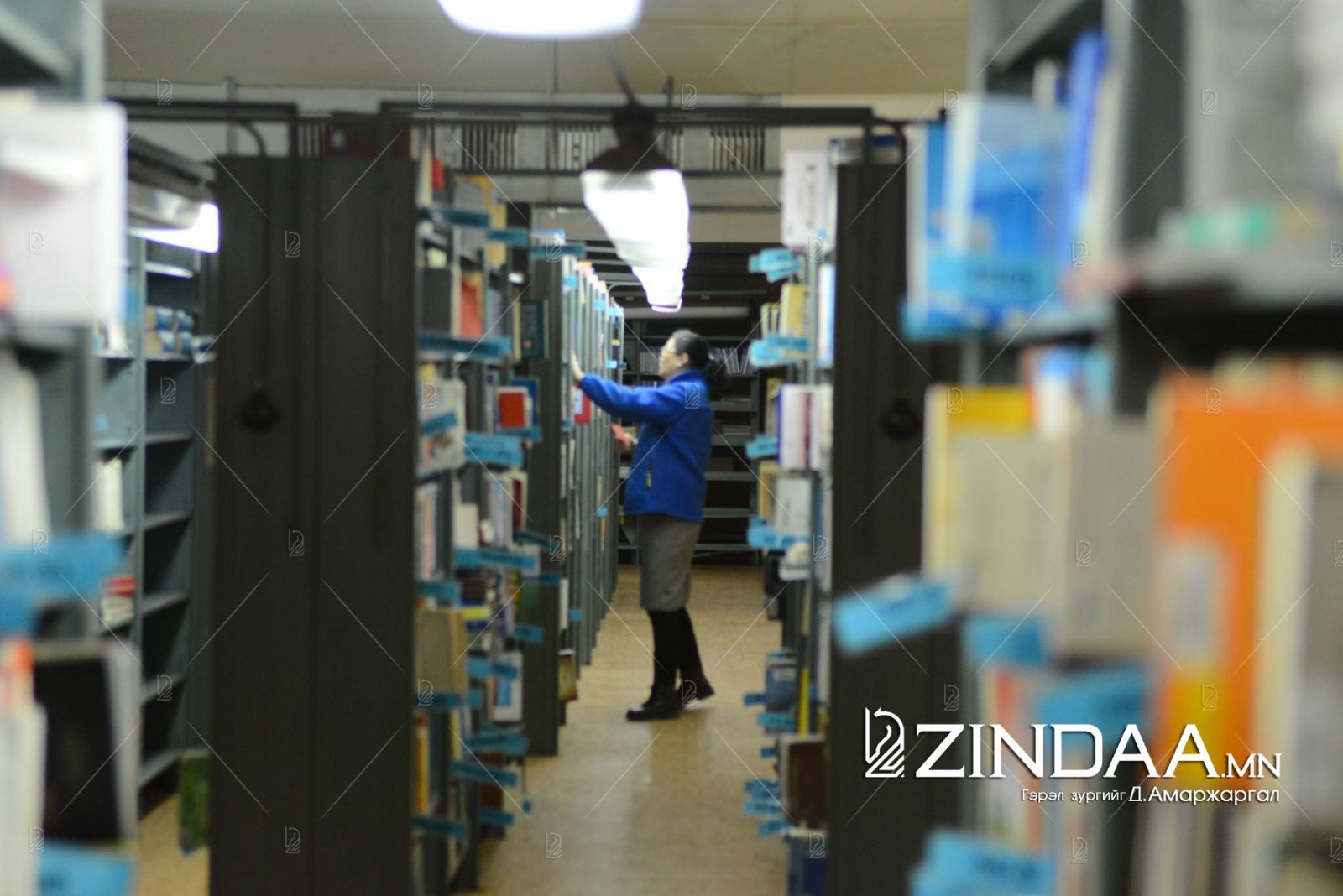 Монгол номын фонд нь 46 мянга гаруй номтой. Насанд хүрэгчдэд үйлчилдэг